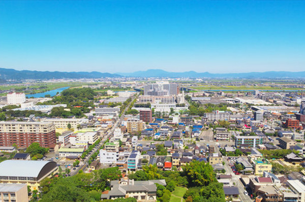 企業情報